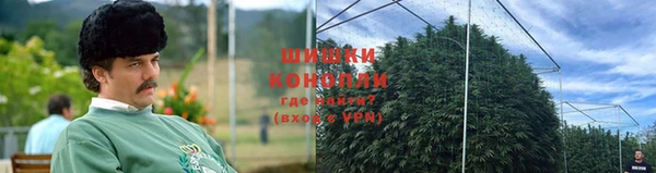 мескалин Няндома